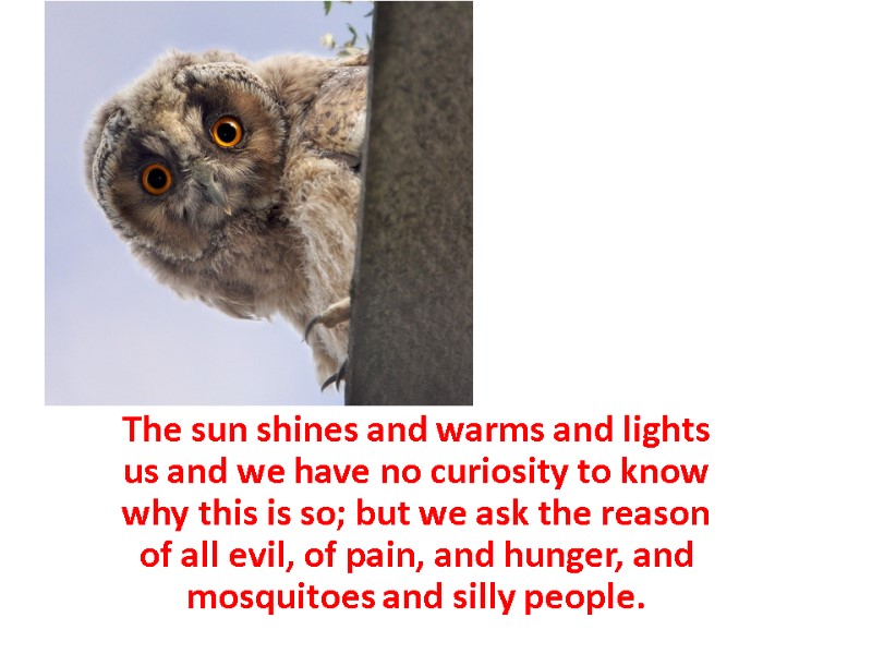 The sun shines and warms and lights us and we have no curiosity to